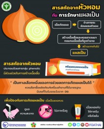 สารสกัดจากหัวหอมรักษาแผลเป็น